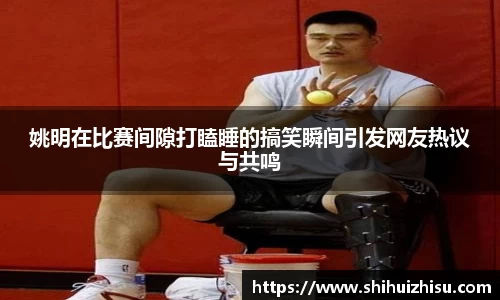 摩根体育